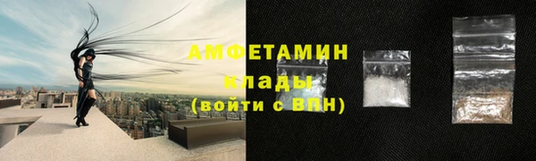 винт Абаза
