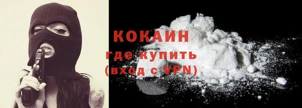 винт Абаза