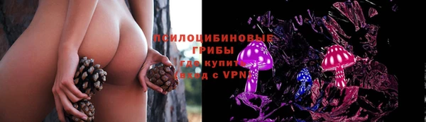 не бодяженный Нижневартовск