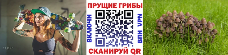 Галлюциногенные грибы Psilocybe  Азов 